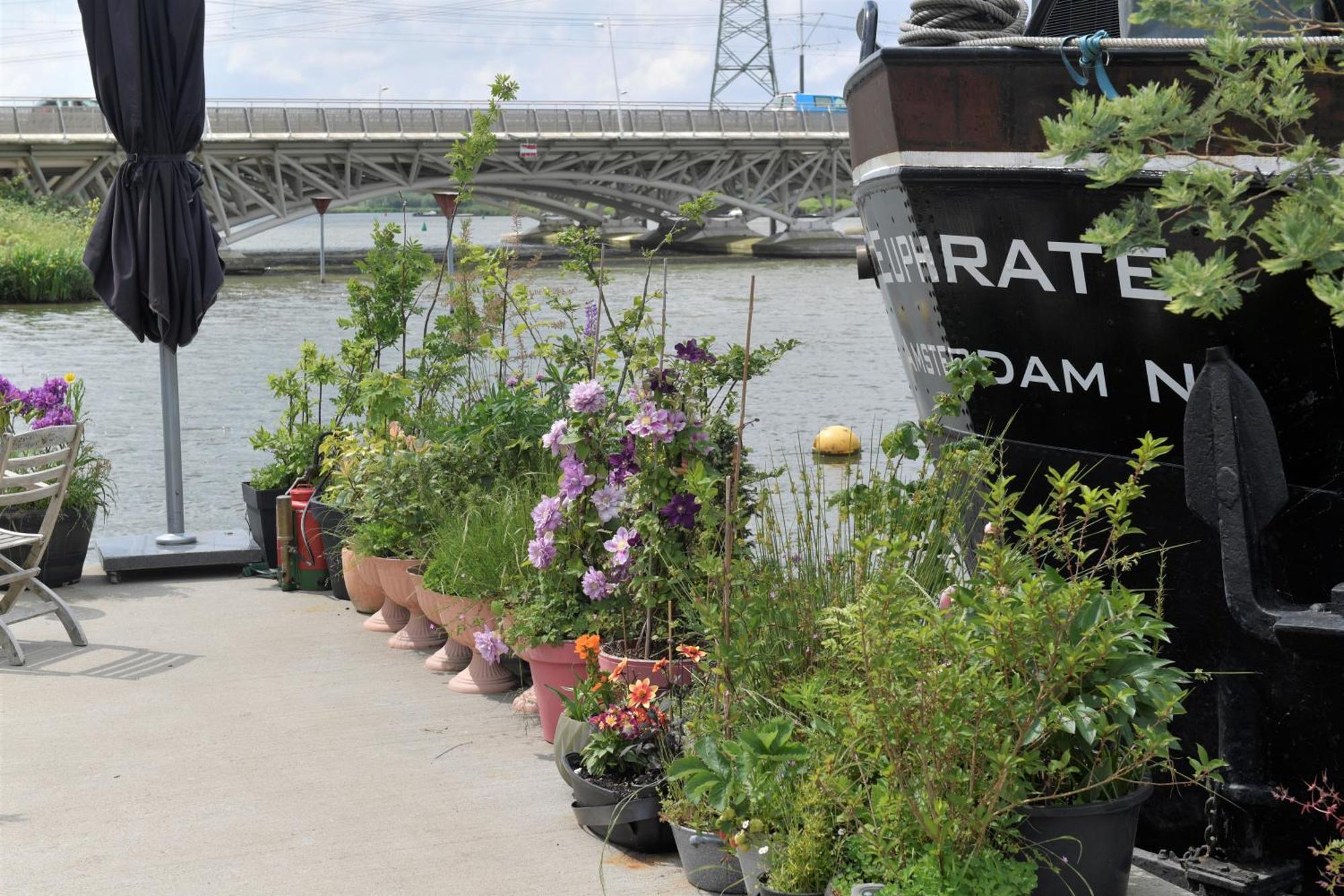 Bed and Breakfast Wheelhouse Euphrate Houseboat Diemen Экстерьер фото